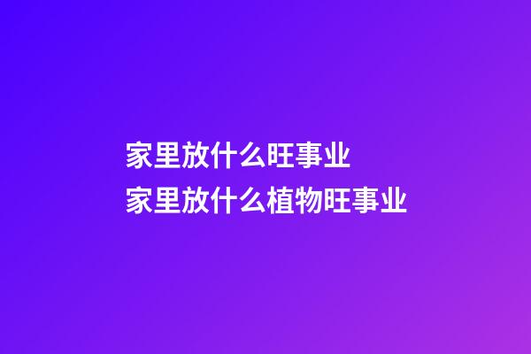 家里放什么旺事业  家里放什么植物旺事业